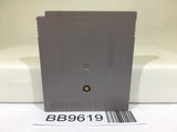 BB9619 Goukaku Boy Z Kai Kyuukyoku no Eitango 1500 Nintendo GameBoy Japan