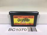 BC1070 Pokemon Mystery Dungeon Red Rescue Team Nintendo GameBoy Advance Japan