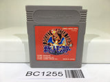 BC1255 Pokemon Red Nintendo GameBoy Japan