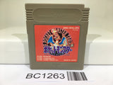 BC1263 Pokemon Red Nintendo GameBoy Japan