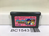 BC1543 River City Ransom EX Nekketsu Kunio Kun Nintendo GameBoy Advance Japan