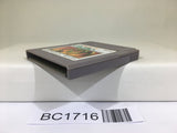 BC1716 Dragon Slayer Gaiden Nintendo GameBoy Japan