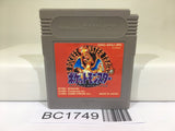 BC1749 Pokemon Red Nintendo GameBoy Japan