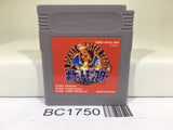 BC1750 Pokemon Red Nintendo GameBoy Japan