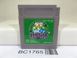 BC1765 Pokemon Green Nintendo GameBoy Japan