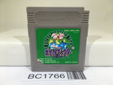 BC1766 Pokemon Green Nintendo GameBoy Japan
