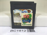 BC1812 Pokemon Silver Nintendo GameBoy Japan