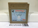 BC2046 Wizardry Gaiden III 3 Nintendo GameBoy Japan