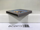 BC2413 Puyo Puyo Nintendo GameBoy Japan