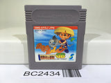 BC2434 Fushigi no Dungeon Furai no Shiren GB Nintendo GameBoy Japan