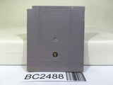BC2488 Real Bout Fatal Fury Special Nintendo GameBoy Japan