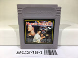 BC2494 Master Karateka Nintendo GameBoy Japan