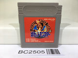 BC2505 Pokemon Red Nintendo GameBoy Japan