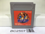 BC2507 Pokemon Red Nintendo GameBoy Japan