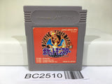 BC2510 Pokemon Red Nintendo GameBoy Japan