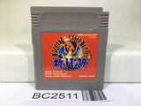 BC2511 Pokemon Red Nintendo GameBoy Japan