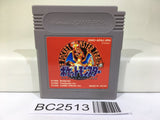 BC2513 Pokemon Red Nintendo GameBoy Japan