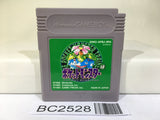 BC2528 Pokemon Green Nintendo GameBoy Japan