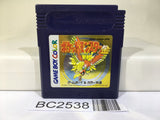 BC2538 Pokemon Gold Nintendo GameBoy Japan