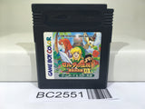 BC2551 The Legend of Zelda Link's Awakening DX Nintendo GameBoy Japan