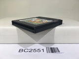 BC2551 The Legend of Zelda Link's Awakening DX Nintendo GameBoy Japan