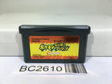 Pokemon Mystery Dungeon Red Rescue Team Nintendo GameBoy Advance Japan - BC2610