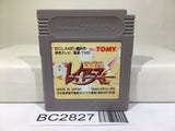 Magic Knight Rayearth Nintendo GameBoy Japan - BC2827