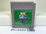 Pokemon Green Nintendo GameBoy Japan - BC3222