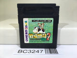 Harvest Moon Bokujo Monogatari 2 GB Nintendo GameBoy Japan - BC3247
