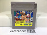 Takahashi Meijin no Boukenjima II 2 Nintendo GameBoy Japan - BC3565