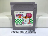 Kirby 2 Kirby's Dream Land Nintendo GameBoy Japan - BC3809