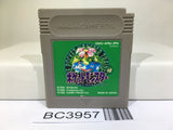 Pokemon Green Nintendo GameBoy Japan - BC3957