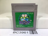 Pokemon Green Nintendo GameBoy Japan - BC3961