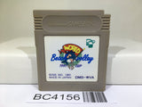 World Beach Volley Volleyball Nintendo GameBoy Japan - BC4156