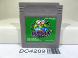 Pokemon Green Nintendo GameBoy Japan - BC4289