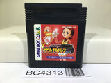 Shin Megami Tensei Devil Children Aka no Sho Nintendo GameBoy Japan - BC4313