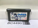 One Piece Dragon Dream Nintendo GameBoy Advance Japan - BC4490