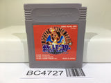 Pokemon Red Nintendo GameBoy Japan - BC4727