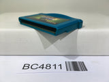 Rockman Exe 5 Team of Kernel Megaman Nintendo GameBoy Advance Japan - BC4811