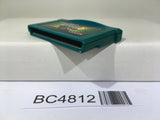 Rockman Exe 5 Team of Kernel Megaman Nintendo GameBoy Advance Japan - BC4812
