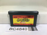 Pokemon Mystery Dungeon Red Rescue Team Nintendo GameBoy Advance Japan - BC4840