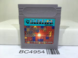 Tetris Flash Nintendo GameBoy Japan - BC4954