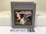 Master Karateka Nintendo GameBoy Japan - BC5107