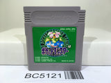 Pokemon Green Nintendo GameBoy Japan - BC5121