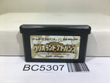 Wario Land Advance Mario Nintendo GameBoy Advance Japan - BC5307