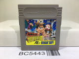 Takahashi Meijin no Boukenjima II 2 Nintendo GameBoy Japan - BC5443
