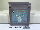 Wizardry Gaiden III 3 Nintendo GameBoy Japan - BC5458