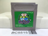 Pokemon Green Nintendo GameBoy Japan - BC5515