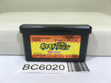 Pokemon Mystery Dungeon Red Rescue Team - BC6020