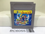 Super Mario Land 2 6 Golden Coins - BC6055